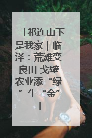 祁连山下是我家｜临泽：荒滩变良田 戈壁农业添“绿”生“金”
