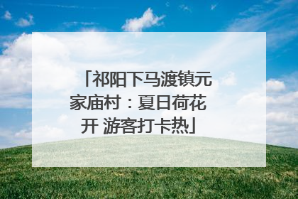 祁阳下马渡镇元家庙村：夏日荷花开 游客打卡热