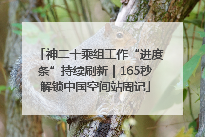 神二十乘组工作“进度条”持续刷新｜165秒解锁中国空间站周记