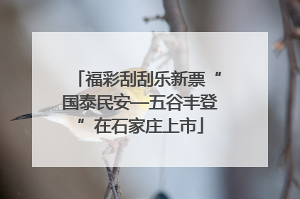 福彩刮刮乐新票“国泰民安—五谷丰登”在石家庄上市
