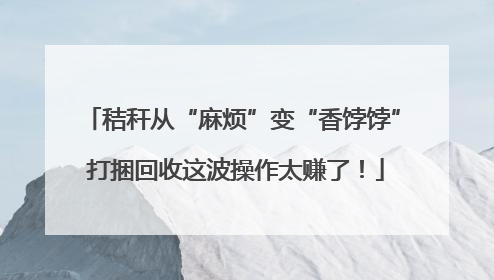 秸秆从“麻烦”变“香饽饽” 打捆回收这波操作太赚了！