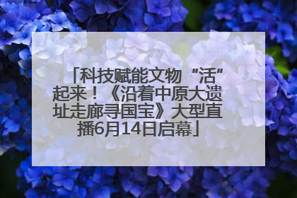 科技赋能文物“活”起来！《沿着中原大遗址走廊寻国宝》大型直播6月14日启幕