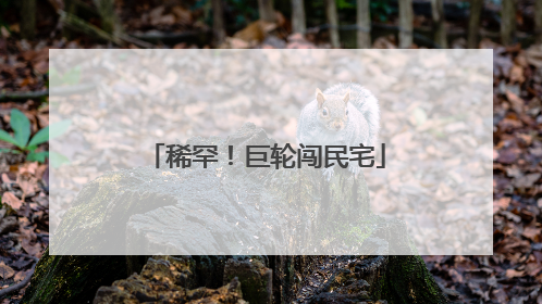 稀罕！巨轮闯民宅