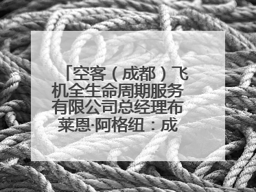空客（成都）飞机全生命周期服务有限公司总经理布莱恩·阿格纽：成都航空产业生态完备，营商环境优势显著