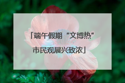 端午假期“文博热” 市民观展兴致浓