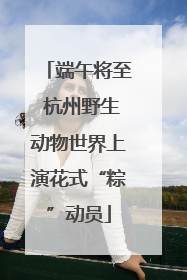端午将至 杭州野生动物世界上演花式“粽”动员