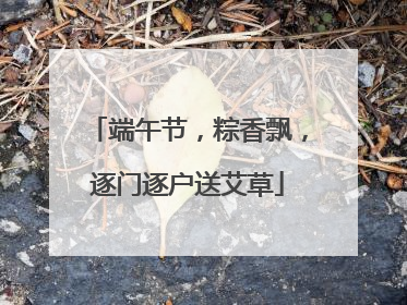 端午节，粽香飘，逐门逐户送艾草