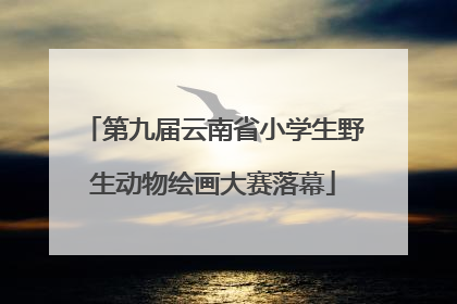 第九届云南省小学生野生动物绘画大赛落幕