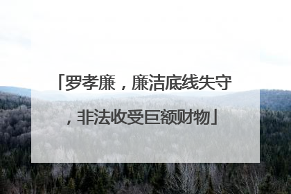 罗孝廉，廉洁底线失守，非法收受巨额财物