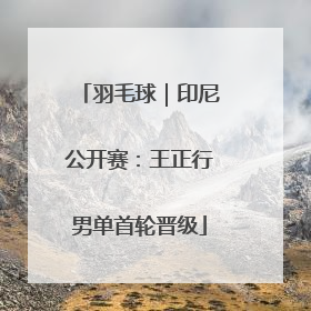 羽毛球｜印尼公开赛：王正行男单首轮晋级