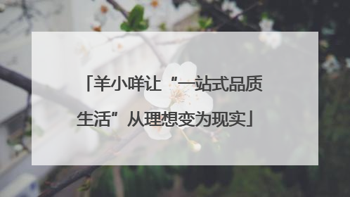 羊小咩让“一站式品质生活”从理想变为现实