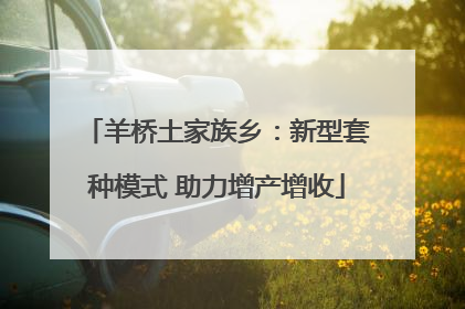 羊桥土家族乡：新型套种模式 助力增产增收