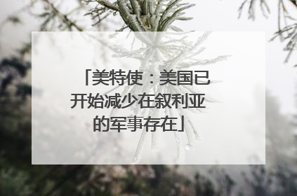 美特使：美国已开始减少在叙利亚的军事存在