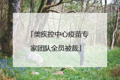 美疾控中心疫苗专家团队全员被裁