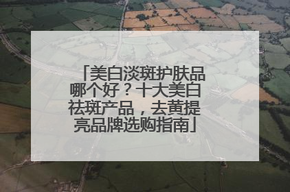 美白淡斑护肤品哪个好？十大美白祛斑产品，去黄提亮品牌选购指南