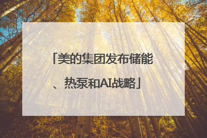 美的集团发布储能、热泵和AI战略