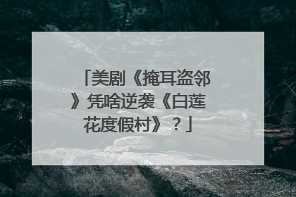 美剧《掩耳盗邻》凭啥逆袭《白莲花度假村》？