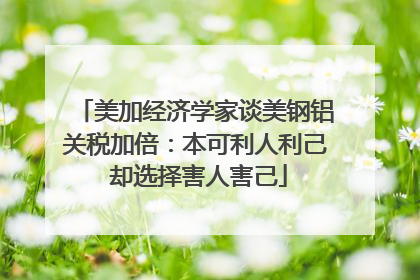 美加经济学家谈美钢铝关税加倍：本可利人利己 却选择害人害己