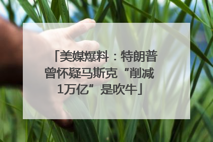 美媒爆料：特朗普曾怀疑马斯克“削减1万亿”是吹牛