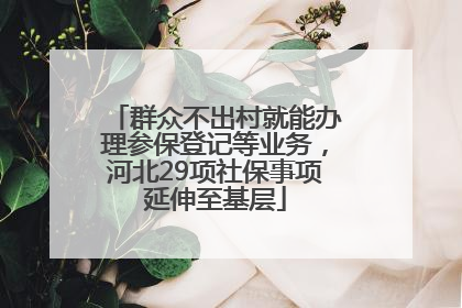 群众不出村就能办理参保登记等业务，河北29项社保事项延伸至基层