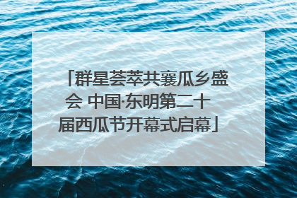 群星荟萃共襄瓜乡盛会 中国·东明第二十届西瓜节开幕式启幕