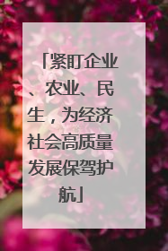 紧盯企业、农业、民生，为经济社会高质量发展保驾护航