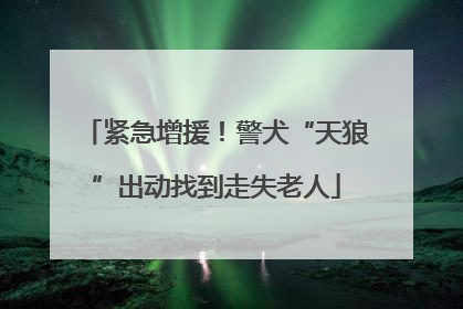 紧急增援！警犬“天狼”出动找到走失老人