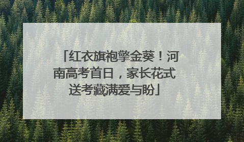 红衣旗袍擎金葵！河南高考首日，家长花式送考藏满爱与盼