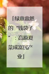绿意盎然的“钱袋子”：高原夏菜成富民产业