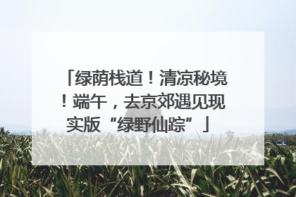 绿荫栈道！清凉秘境！端午，去京郊遇见现实版“绿野仙踪”
