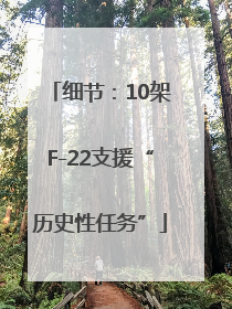 细节：10架F-22支援“历史性任务”