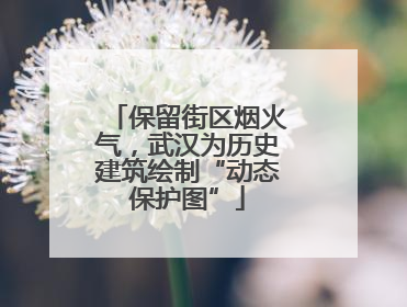 保留街区烟火气，武汉为历史建筑绘制“动态保护图”