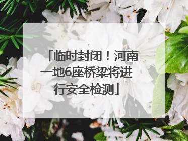 临时封闭！河南一地6座桥梁将进行安全检测