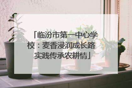 临汾市第一中心学校：麦香浸润成长路 实践传承农耕情