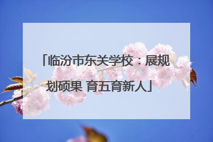 临汾市东关学校：展规划硕果 育五育新人