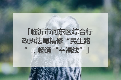 临沂市河东区综合行政执法局精修“民生路”，畅通“幸福线”
