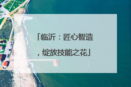 临沂：匠心智造，绽放技能之花
