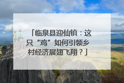 临泉县迎仙镇：这只“鸡”如何引领乡村经济展翅飞翔？