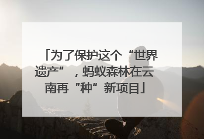 为了保护这个“世界遗产”，蚂蚁森林在云南再“种”新项目
