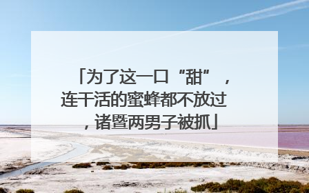 为了这一口“甜”，连干活的蜜蜂都不放过，诸暨两男子被抓