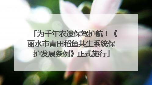 为千年农遗保驾护航！《丽水市青田稻鱼共生系统保护发展条例》正式施行