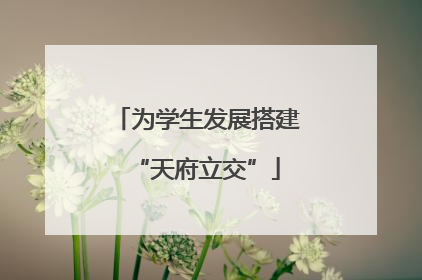 为学生发展搭建“天府立交”