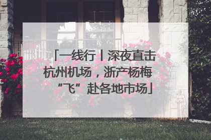 一线行丨深夜直击杭州机场，浙产杨梅“飞”赴各地市场