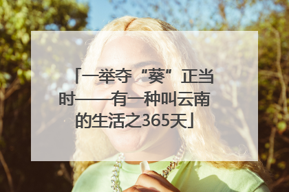 一举夺“葵”正当时——有一种叫云南的生活之365天