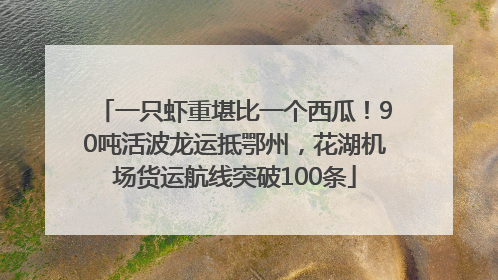 一只虾重堪比一个西瓜！90吨活波龙运抵鄂州，花湖机场货运航线突破100条