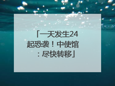 一天发生24起恐袭！中使馆：尽快转移