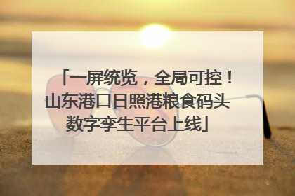 一屏统览，全局可控！山东港口日照港粮食码头数字孪生平台上线