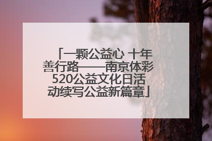 一颗公益心 十年善行路——南京体彩520公益文化日活动续写公益新篇章