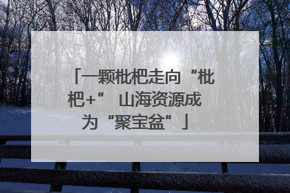 一颗枇杷走向“枇杷+” 山海资源成为“聚宝盆”