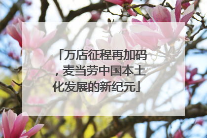 万店征程再加码，麦当劳中国本土化发展的新纪元